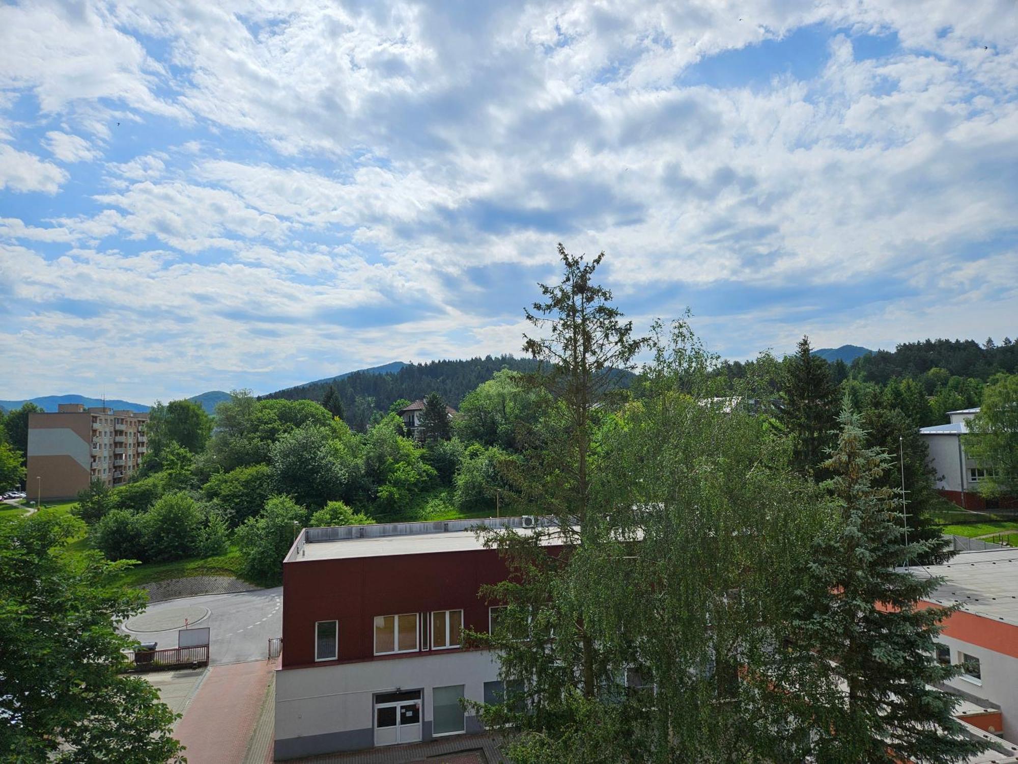 Wolf Apartman Pokojne Ubytovanie V Povazskej Bystrici Ticha Lokalita S Parkovanim Vsade Blizko Vhodne Pre Pracovne Cesty Turistiku Aj Oddych Plne Vybavena Kuchyna Povazska Bystrica Exterior foto